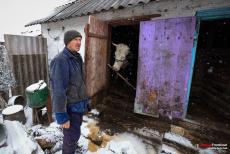 Як деокуповані селища виживають під цілодобовими ворожими обстрілами (ФОТО)