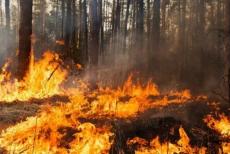 ЛОВА: “мнс” окупантів лише спостерігає за пожежею біля Сєвєродонецька, у “лнр” немає коштів на ремонт електромереж