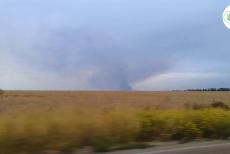 Лісові пожежі на окупованій Луганщині завдають мільярдних збитків: підрахунок екоінспекції