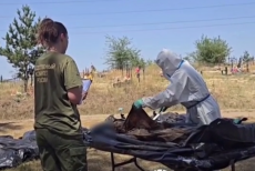 Окупанти у Сєвєродонецьку проводять ексгумацію тіл з братських могил (ВІДЕО