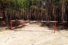 Жителям окупованої Луганщини відсьогодні знову обмежили доступ у ліси