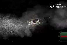 На Луганщині знищили російську “Осу” (ВІДЕО)