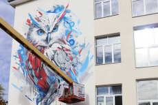 У Сіверськодонецьку окупанти остаточно перемалювали сову на 11-й школі