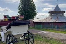 Окупанти взялися відновлювати Деркульський кінний завод. Нібито вже є інвестор