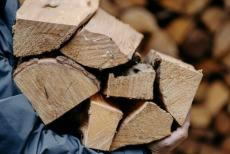 Сіверськодончани можуть отримати допомогу на придбання твердого палива