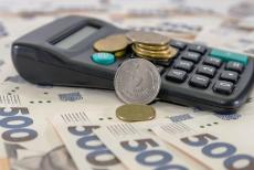 Соцвиплати та держпрограми у листопаді 2025 року: що треба знати ВПО