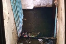 “Двері й вікна у під’їзді відкриті через сморід”: підвали у Сіверськодонецьку затоплюють нечистоти
