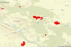 Поблизу окупованого Сіверськодонецька знову спалахнули лісові пожежі