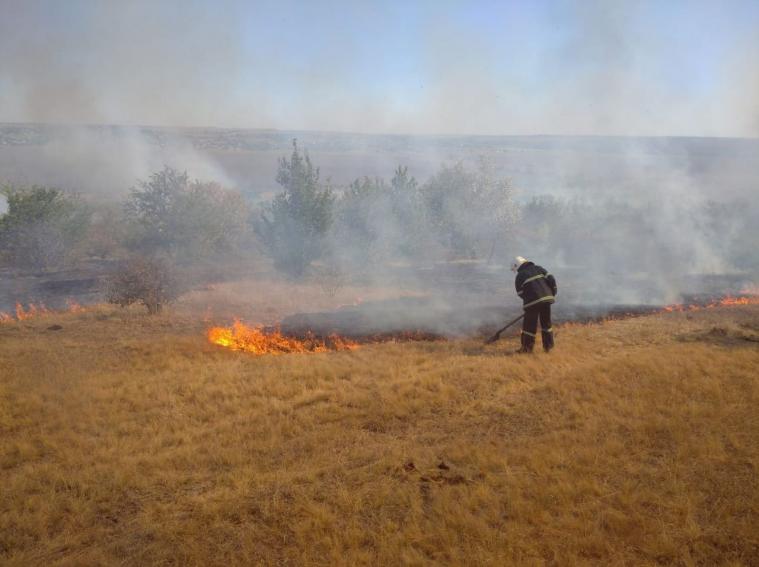 Розпочато провадження за фактом пожеж на території Луганщини