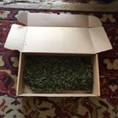 Полиция изъяла у жителя Лисичанска 1 кг марихуаны