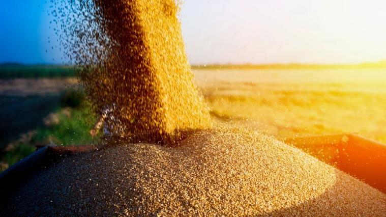 Зерно з Луганщини вивозять в бік росії
