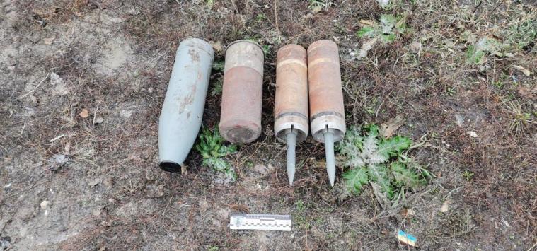 В деокупованому Невському на Луганщині виявили та знищили 4 снаряди