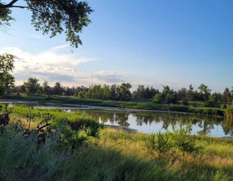Як виглядають озера Сєвєродонецька – у мережі показали фото Паркового й Чистого