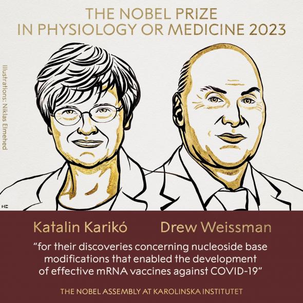 Нобелівську премію з медицини присудили науковцям за відкриття, яке допомогло розробити мРНК-вакцини проти COVID-19