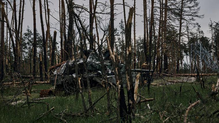 У мережі показали, як змінилося Серебрянське лісництво за рік (ФОТО)