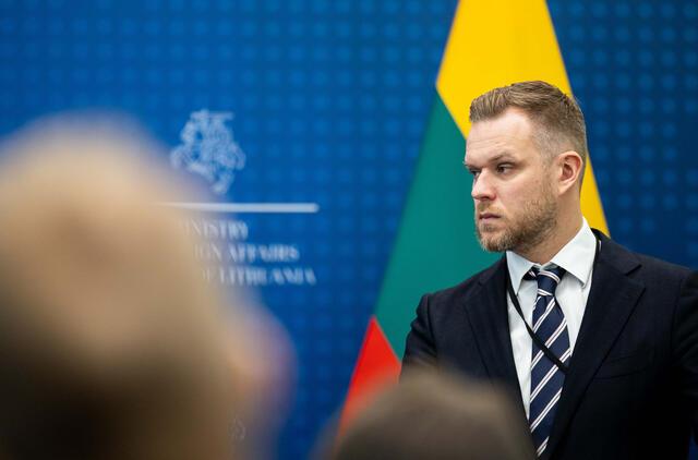 Литва чекає, поки у війні росії проти України "відбудеться Перл-Харбор"