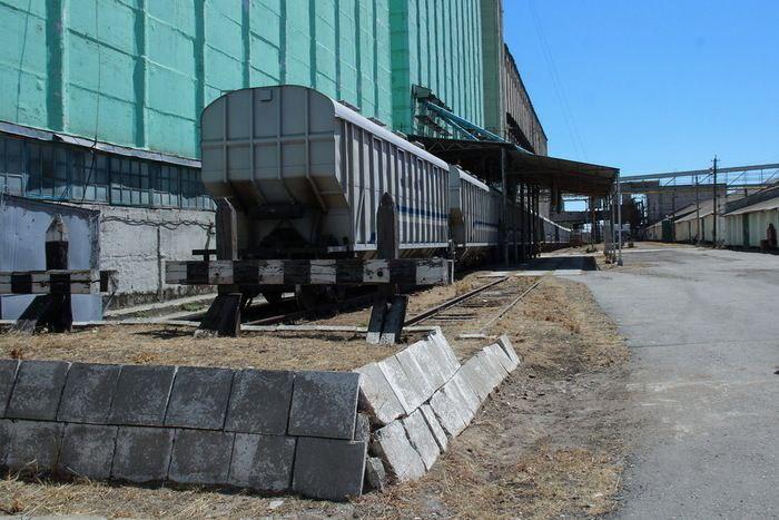 Окупанти затвердили квоти на безмитне вивезення зернових з Луганщини