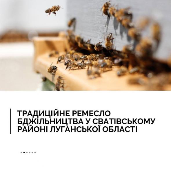 Ремесло сватівських бджолярів офіційно визнали частиною нематеріальної культурної спадщини України