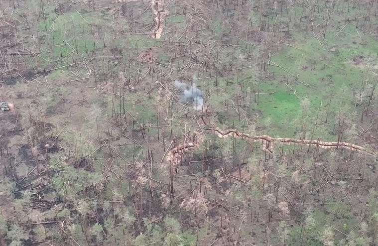 “Ліс жалко, а окупантів – ні!” – у Нацгвардії показали роботу артилерії по окупантах поблизу Кремінної (ВІДЕО)