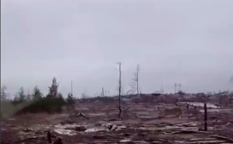 “Лісу більше нема”: у мережі показали відео дороги від Смолянинового до Сєвєродонецька