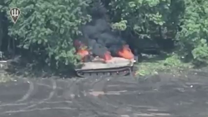 Сили оборони знищили БМП окупантів на Луганщині 