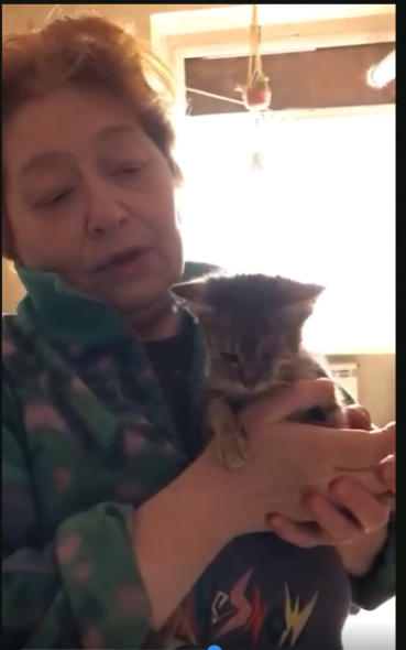 У Сєвєродонецьку жінка створила притулок для бездомних кішок