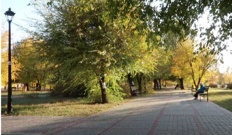Сєвєродончанка показала напівпорожній парк біля «Амстору» та Чисте озеро з лебедями (ВІДЕО)