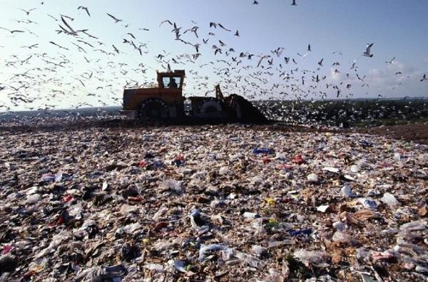 ЛОВА: У Сєвєродонецьку не лише перероблятимуть сміття з рф, а й хоронитимуть