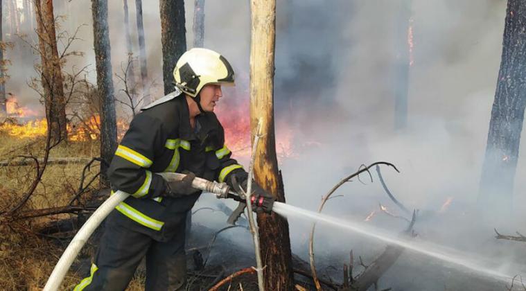 На окупованій Луганщині вчора вигоріло понад 250 га рослинності