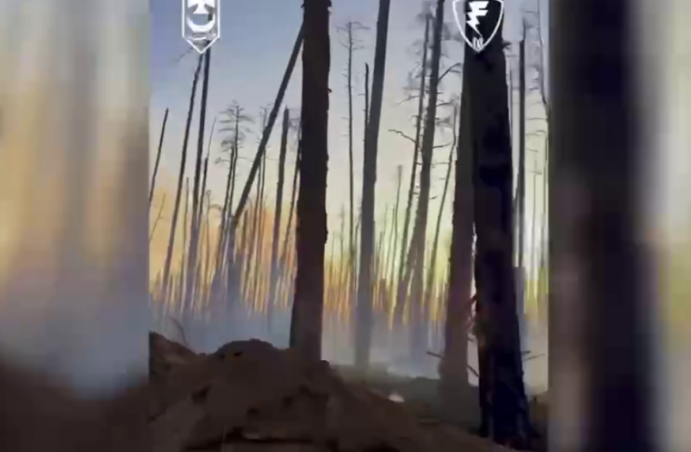 “Ліси горять разом з нашими серцями”: в НГУ показали залишки Серебрянського лісництва (ВІДЕО)