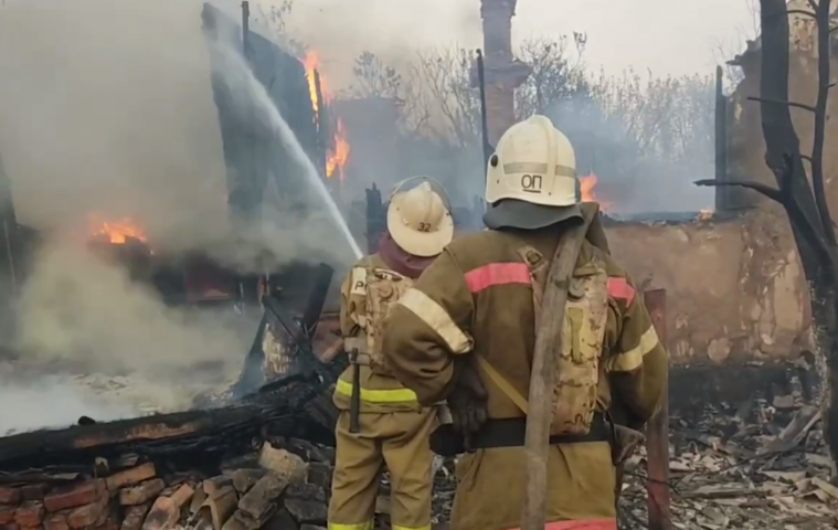 На окупованій Луганщині масові пожежі – горять села, ліси (ВІДЕО)