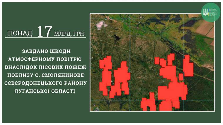 Екологи назвали розмір шкоди, завданої лісовими пожежами біля Сєвєродонецька