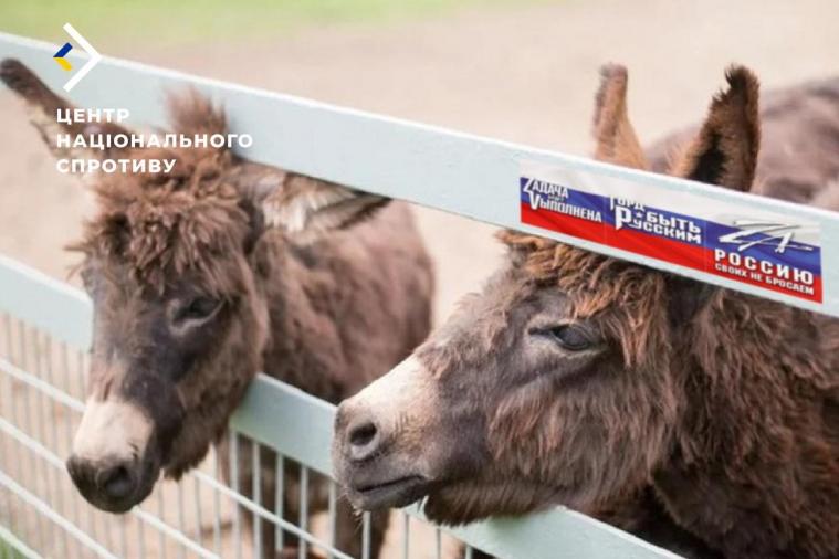 У Луганському зоопарку тварин тримають без води й на палючому сонці, – Спротив