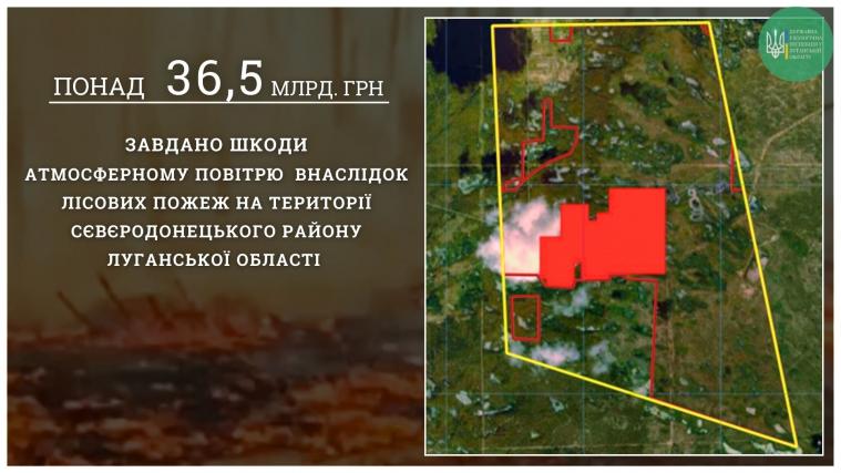Пожежі навколо Сєвєродонецька завдали шкоди довкіллю на понад 36,5 мільярдів гривень, – екологи