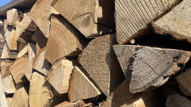 Переселенці на Полтавщині можуть отримати кошти на дрова – куди звертатися