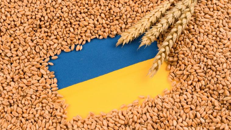 Зернова криза Україна — Польща. Чи винна росія?