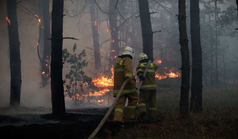 Лисогор про лісові пожежі на Луганщині: “Те, що не викосили артилерією, тепер горить”