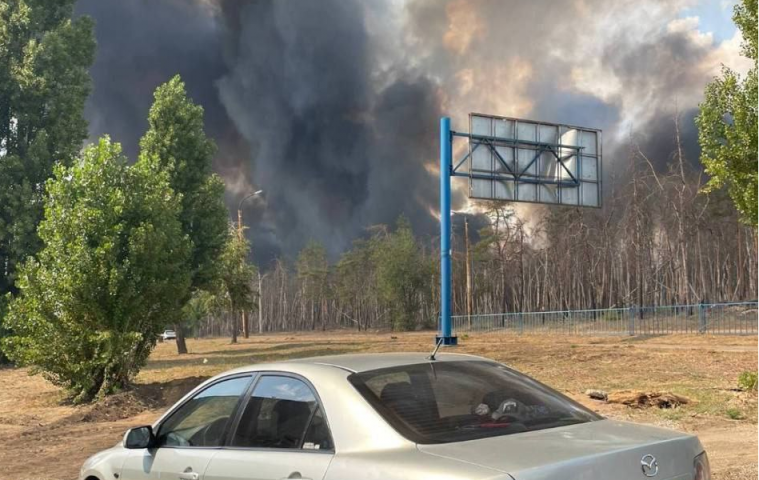 У мережі показали кадри пожежі поблизу Сєвєродонецька (ВІДЕО, ФОТО)