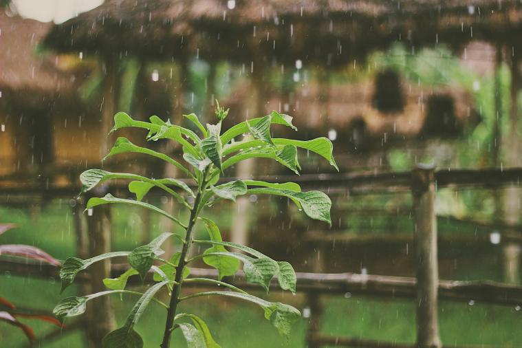 Погода на п'ятницю: низку регіонів України накриють дощі з грозами і прийде похолодання