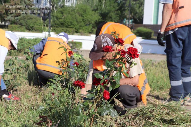 Окупанти саджають троянди на тлі понівечених будинків у Сєвєродонецьку