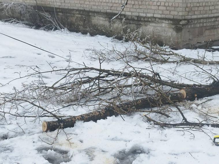 ЛОВА: На окупованій Луганщині люди самотужки усувають наслідки негоди