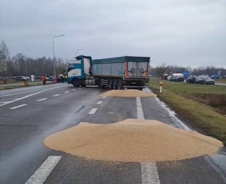 Польський міністр про висипане на кордоні українське зерно: "Фермери у відчаї"