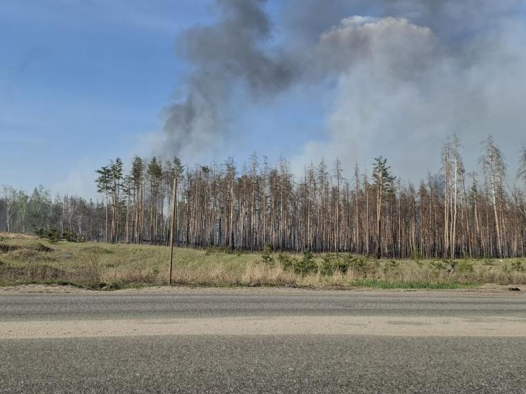 Лисогор про пожежі на Луганщині: “Думаю, коли територію буде звільнено, виявимо ще більше наслідків”
