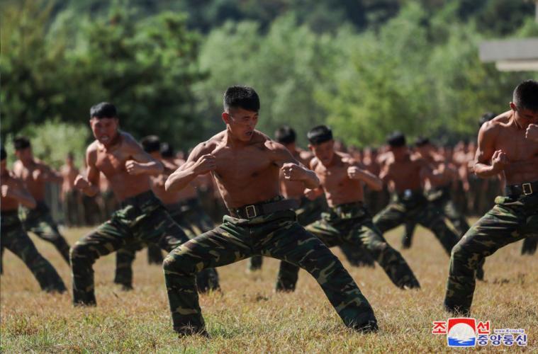 ЗМІ: До штурмів ЗСУ можуть залучити солдатів КНДР, які намагалися втекти з Курщини