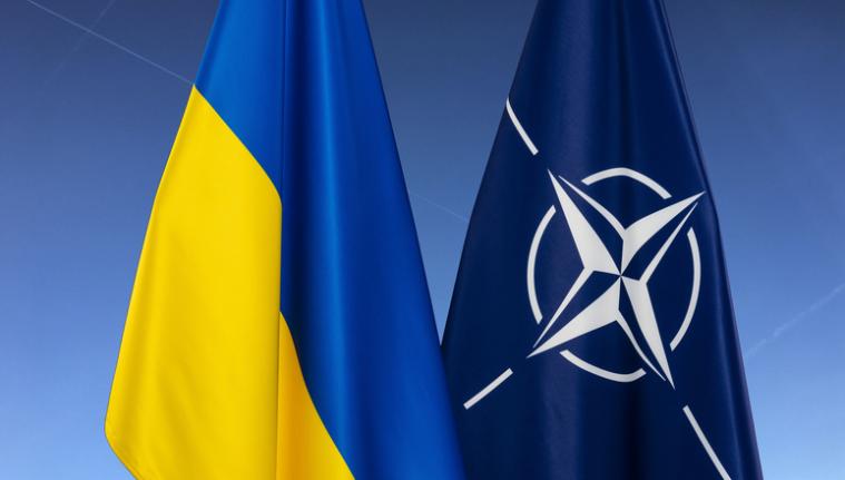 Дві країни виступають проти вступу України до НАТО, – ЗМІ з посиланням на Макрона