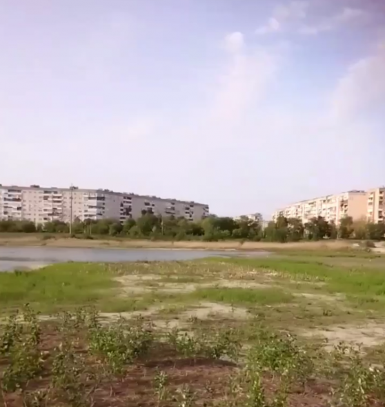 “Тут цілий гай тополиний росте”: як виглядає Чисте озеро у Сєвєродонецьку (ВІДЕО)