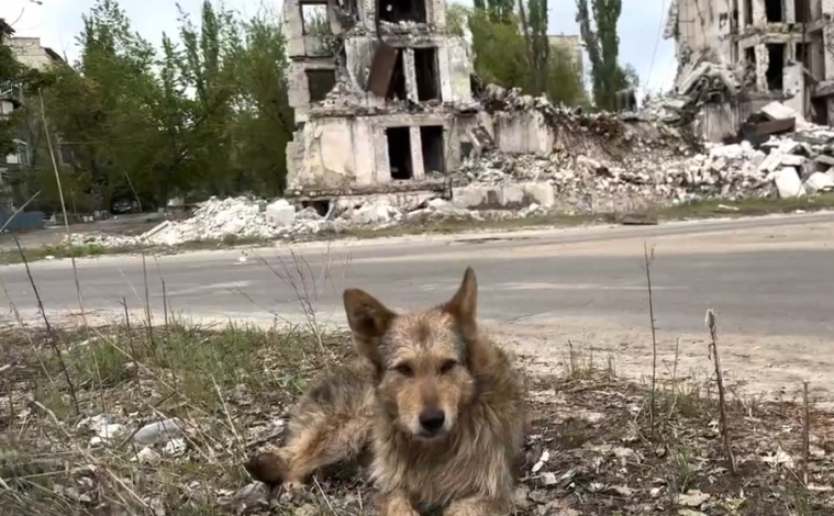 Окупант з Пермі розповів, як був шокований руйнуваннями Сєвєродонецька