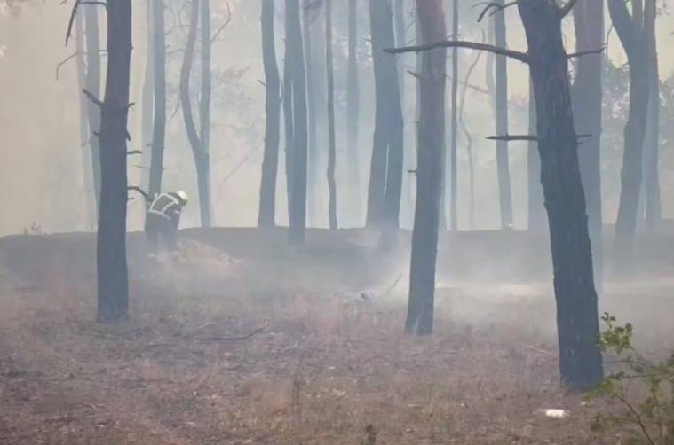  Понад три сотні будівель постраждали внаслідок пожеж на окупованій Луганщині