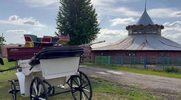 Окупанти взялися відновлювати Деркульський кінний завод. Нібито вже є інвестор