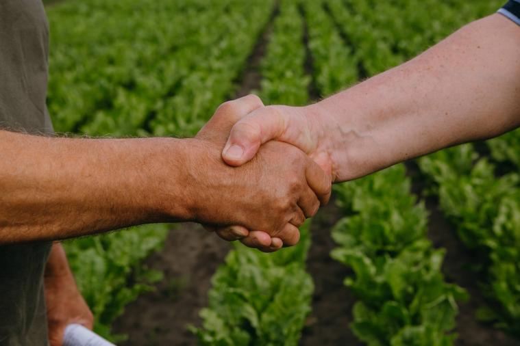 На «Діалозі з бізнесом» обговорять можливості грантів для фермерів Луганщини На «Діалозі з бізнесом» обговорять можливості грантів для фермерів Луганщини